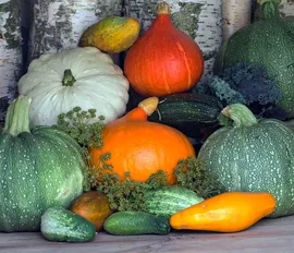 flan de courgettes en terrine