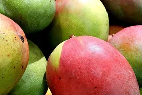 achats de saison
